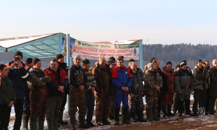 Соревнования по подледному лову рыбы Соревнования по подледному лову рыбы