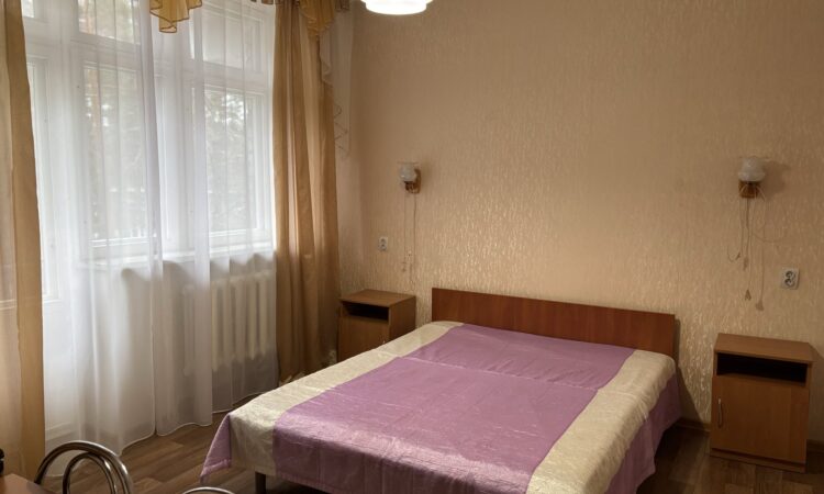 Одноместный однокомнатный номер КИНГ САЙЗ (2 корпус)