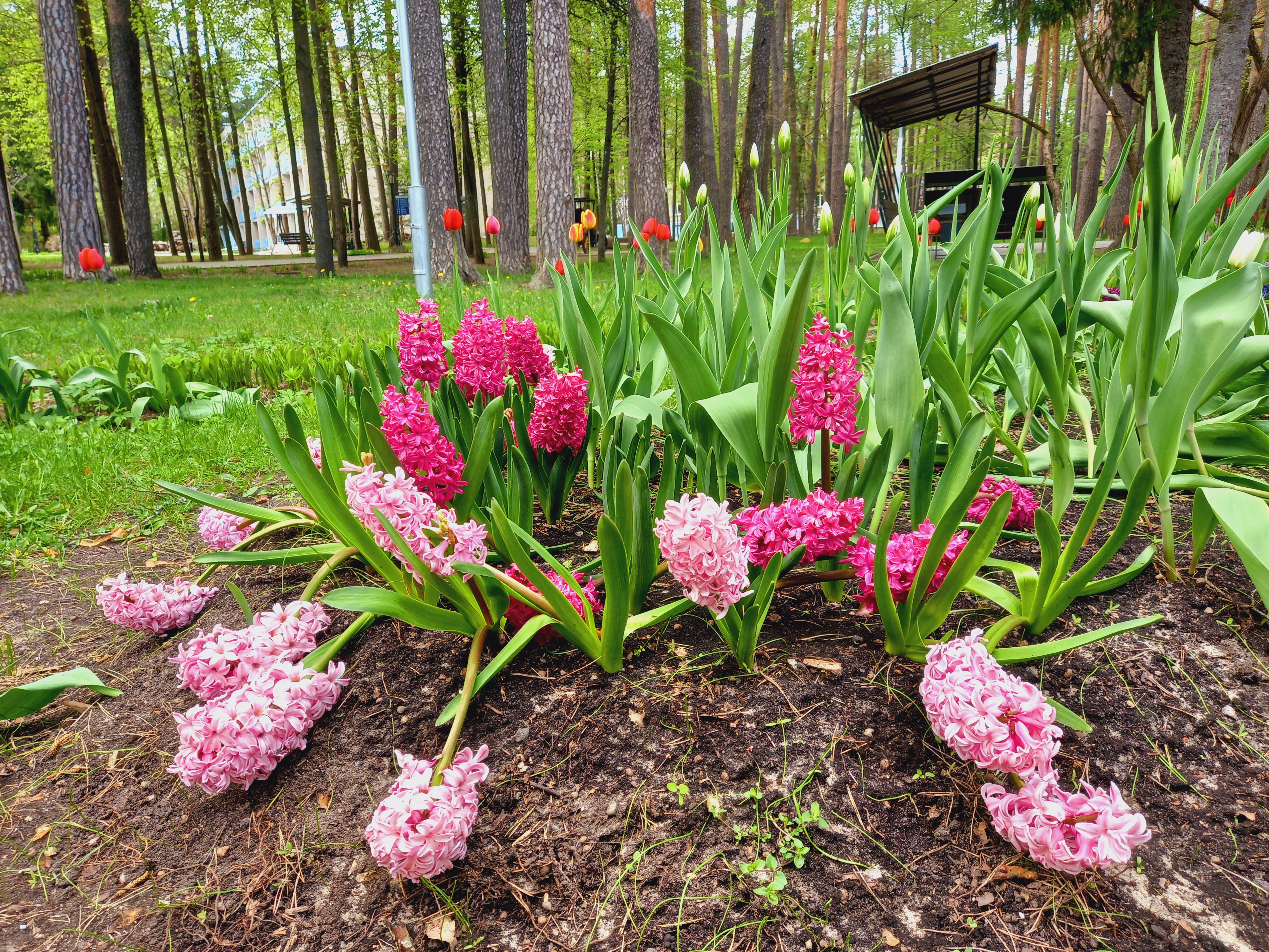 ДОСТУПНО БРОНИРОВАНИЕ ПО 30 АПРЕЛЯ 2026