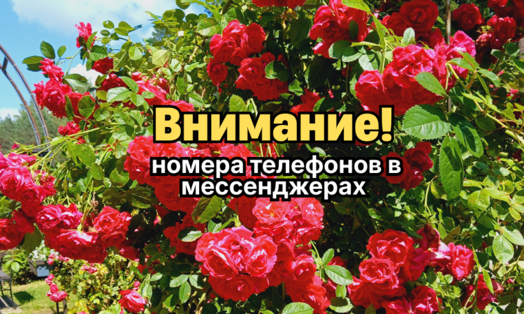 Номера телефонов отдела бронирования в мессенджерах