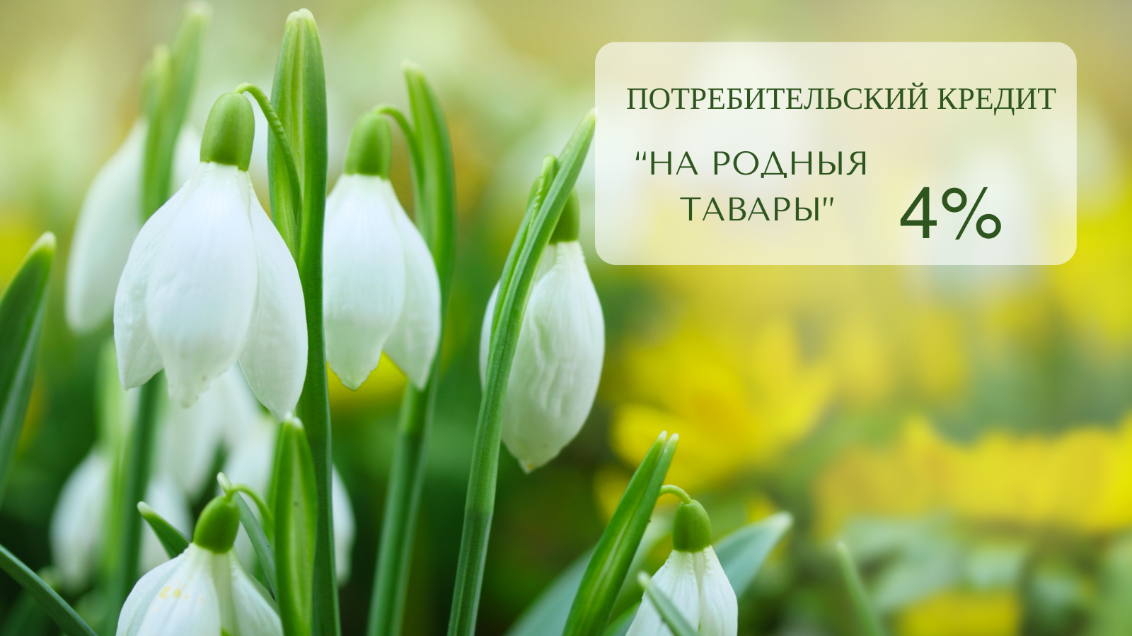 Льготный кредит на оплату санаторно-курортной путевки