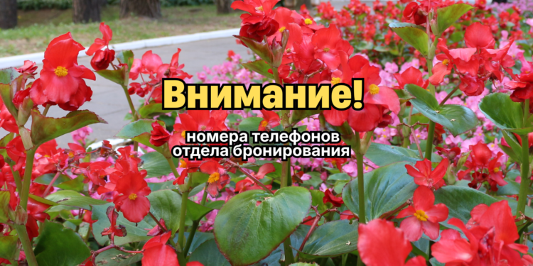 Номера телефонов отдела бронирования