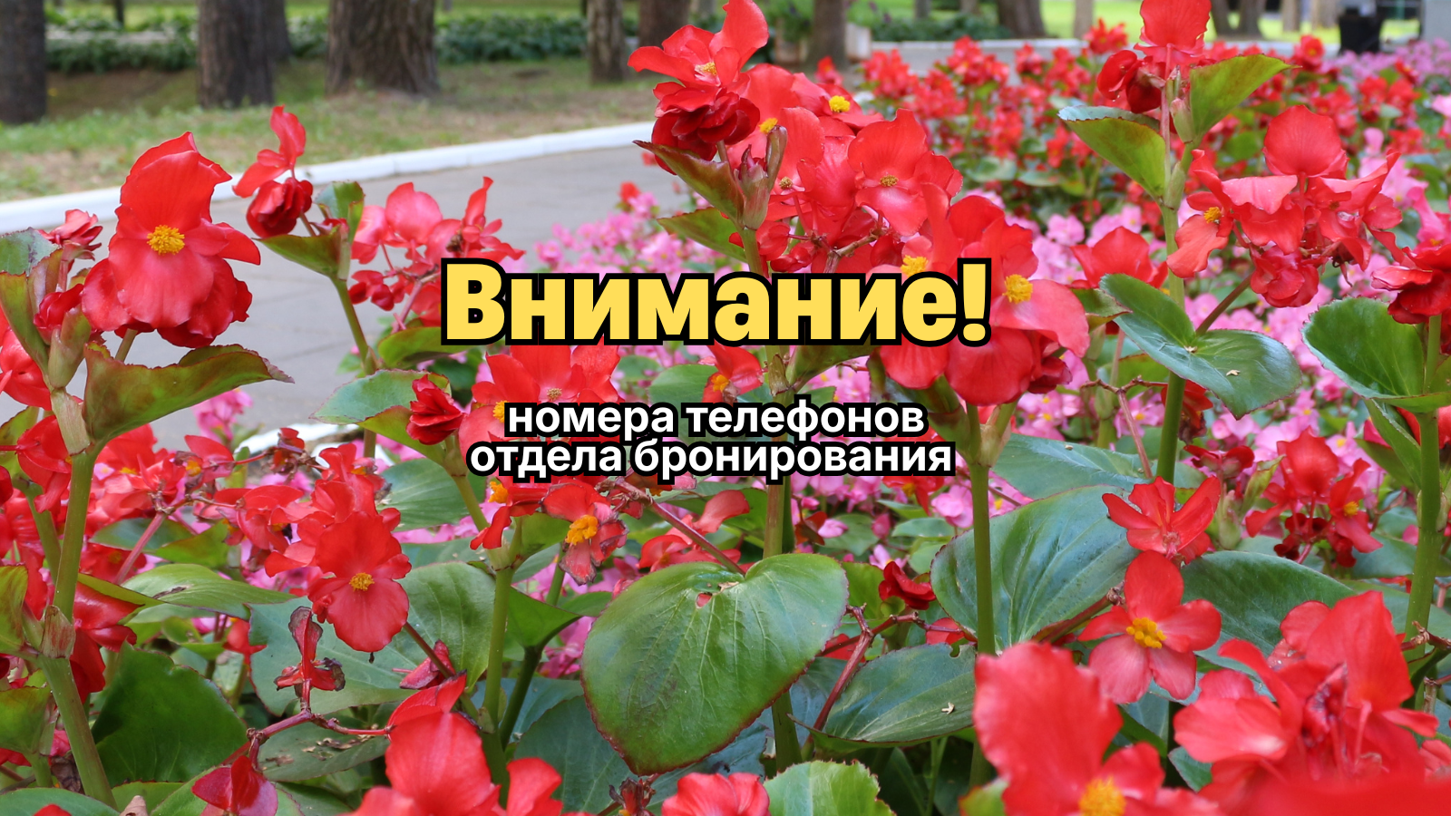 Номера телефонов отдела бронирования