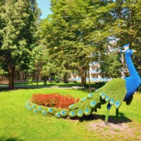 О санатории