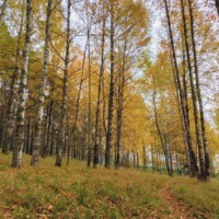 О санатории